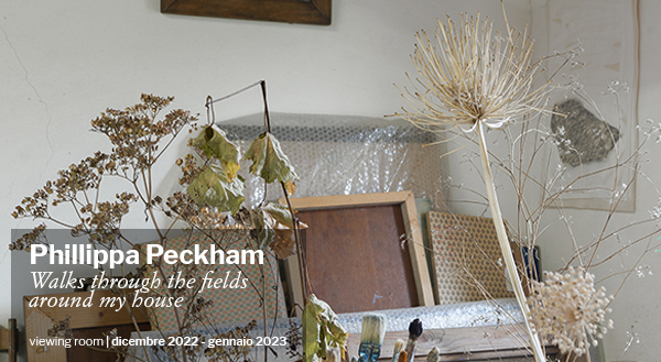 Phillippa Peckham | Walks through the fields around my house | viewing room dicembre 2022 - gennaio 2023