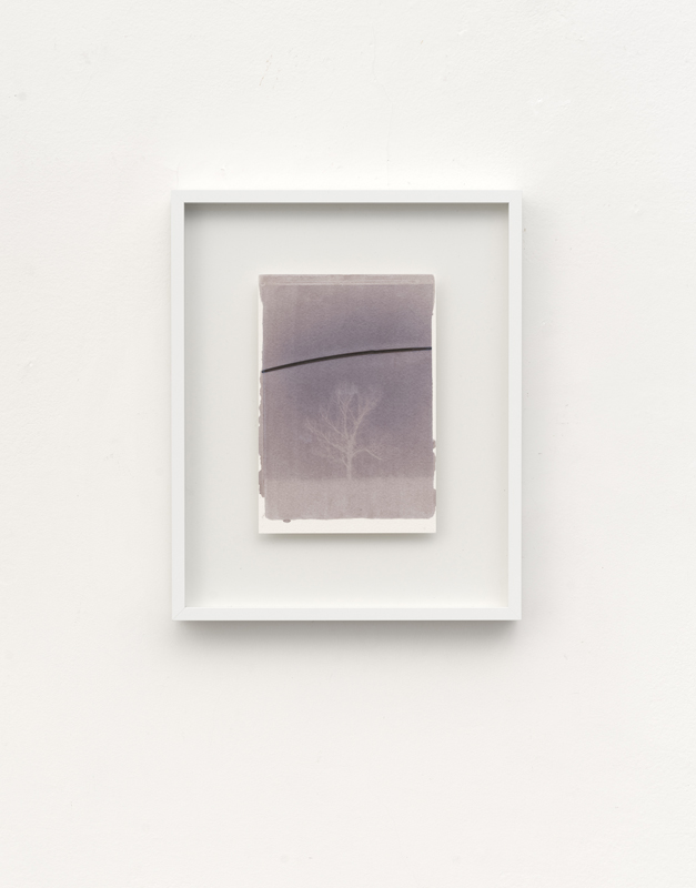 Luca Lupi, Spaziotempo. Padule di Fucecchio, 31 gennaio 2024, luce e emulsione su carta, esposizione di 3 ore, cm 18x13, esemplare unico