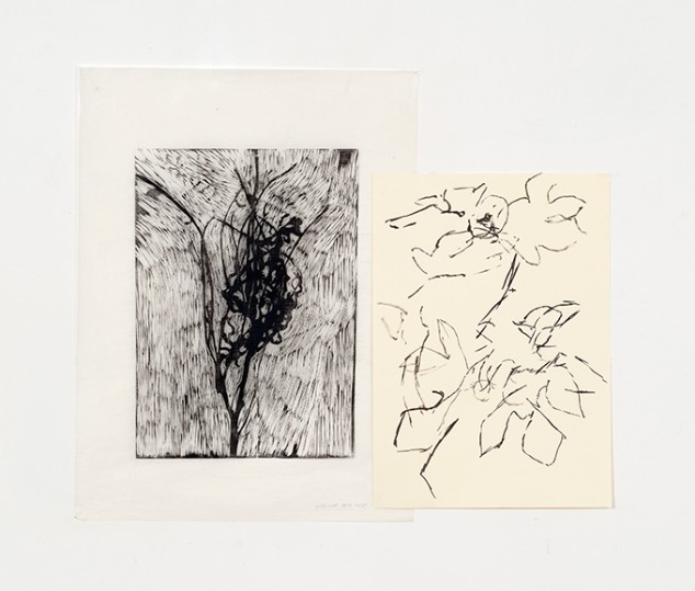 Phillippa Peckham, Giancarlo, xilografia e inchiostro, cm 61x70