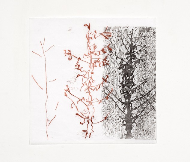 Phillippa Peckham, Silence, xilografia e monotipo, cm 48,5x48