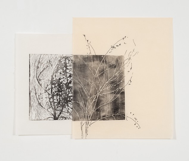 Phillippa Peckham, Zaira, xilografia e inchiostro, cm 65x92,5